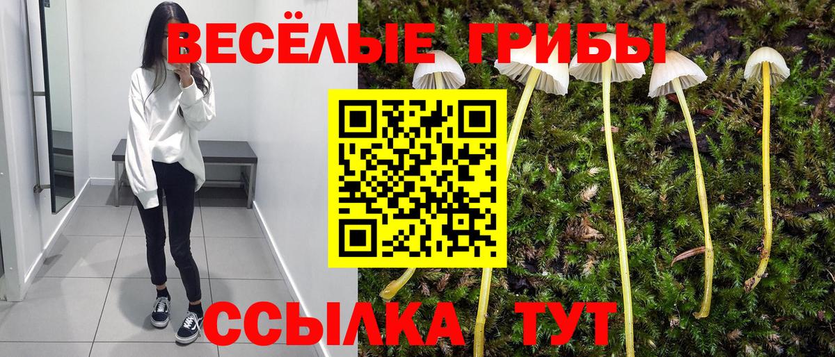 Галлюциногенные грибы мицелий Псков