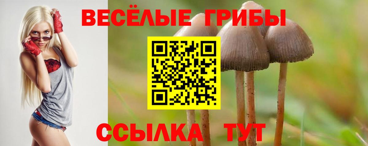 Псилоцибиновые грибы Cubensis  Вход с VPN  Псков 